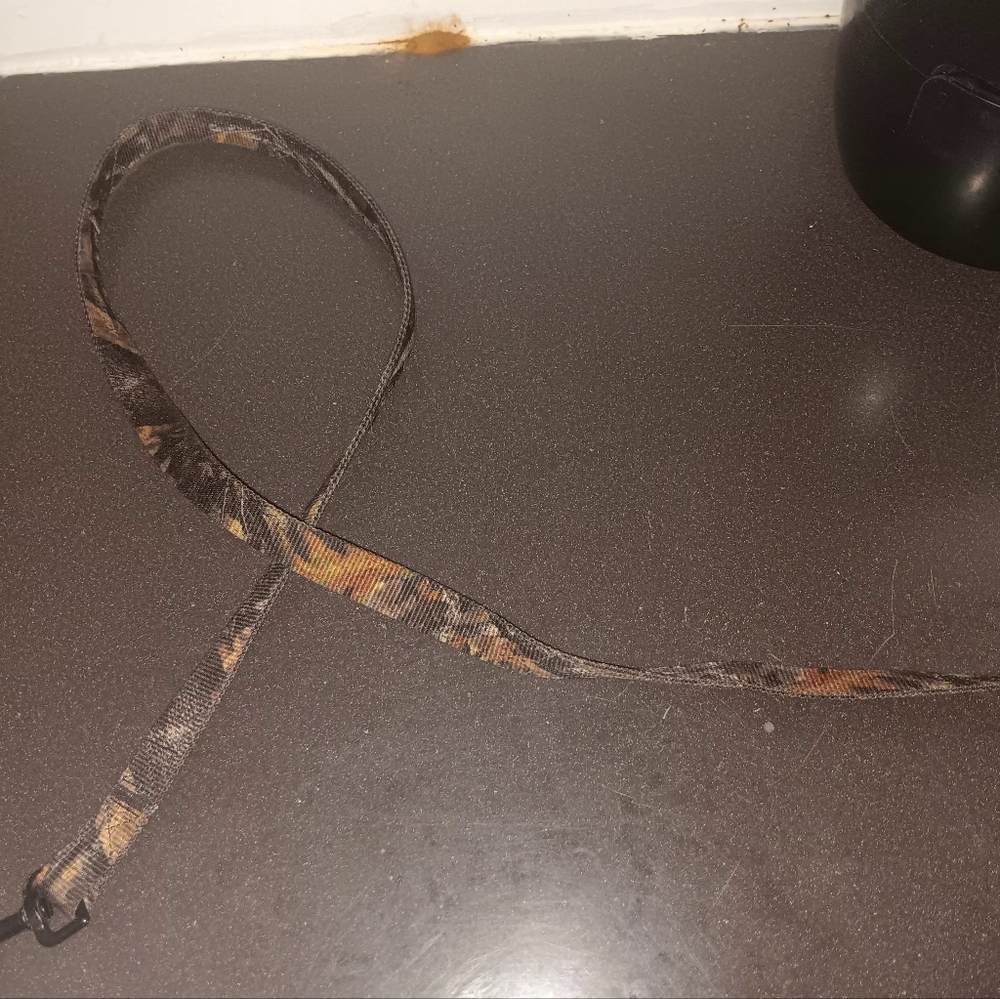 Leashes - Picture 9 of 15